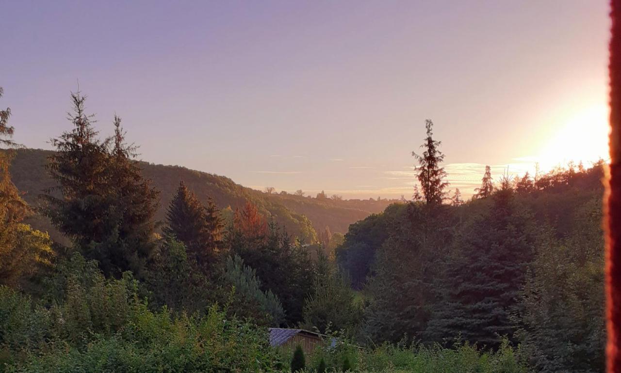 Talblick 2 - Ihr Zuhause : Das Ferienhaus Mitten Im Idyllischen Tal Bad Bibra ภายนอก รูปภาพ