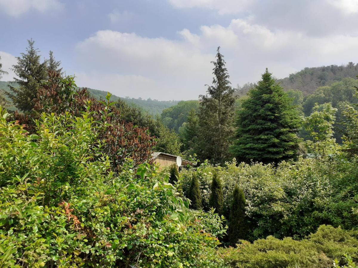 Talblick 2 - Ihr Zuhause : Das Ferienhaus Mitten Im Idyllischen Tal Bad Bibra ภายนอก รูปภาพ