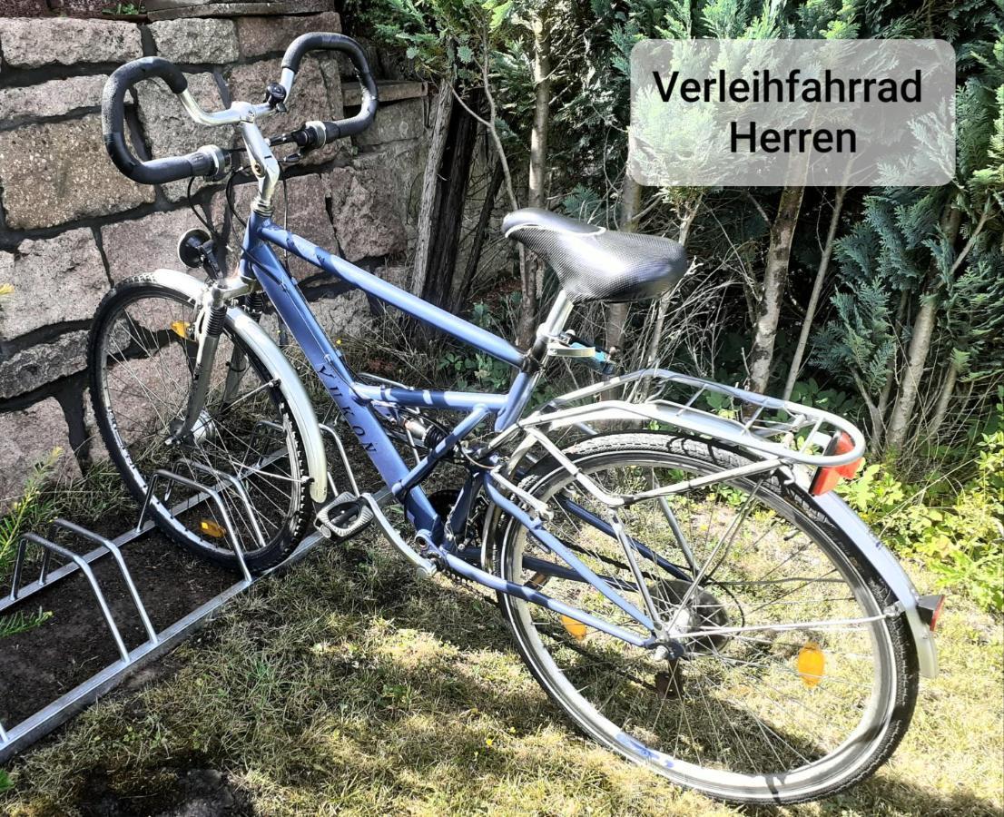 Talblick 2 - Ihr Zuhause : Das Ferienhaus Mitten Im Idyllischen Tal Bad Bibra ภายนอก รูปภาพ
